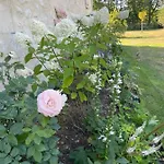 Domaine De La Vove Habitación en casa particular Corbon (Orne)