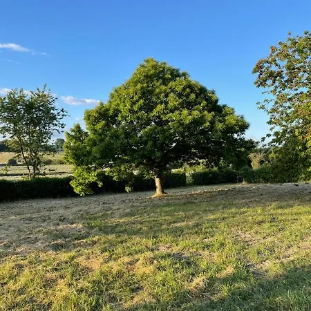 Homestay Domaine De La Vove Corbon (Orne)