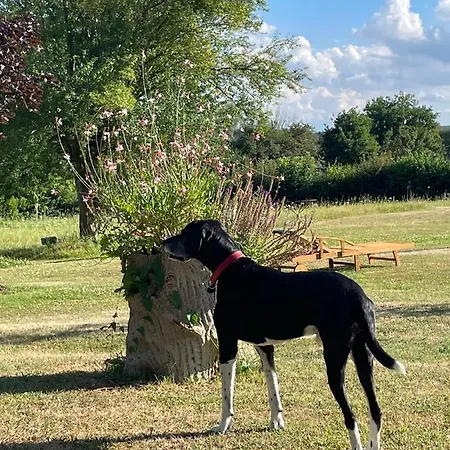 Domaine De La Vove Privatunterkunft Corbon (Orne)