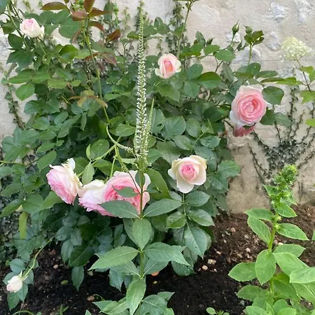 Domaine De La Vove Homestay Corbon (Orne)