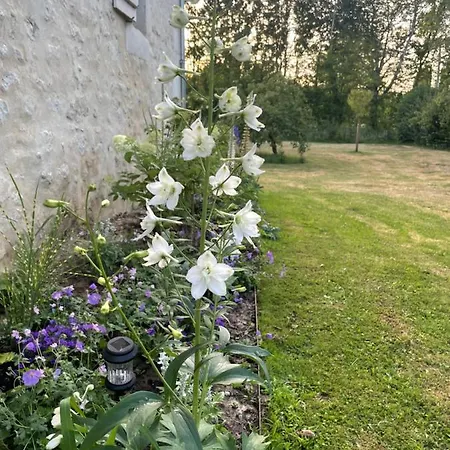 Проживание в семье Domaine De La Vove Corbon (Orne)