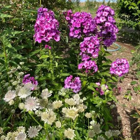 Privatunterkunft Domaine De La Vove *