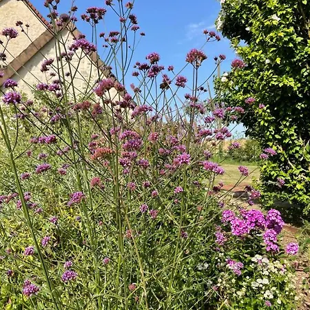 Homestay Domaine De La Vove