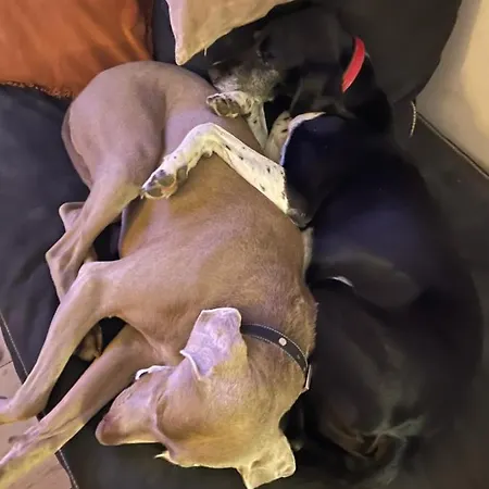 Privatunterkunft Domaine De La Vove