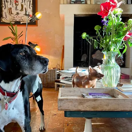 Homestay Domaine De La Vove *