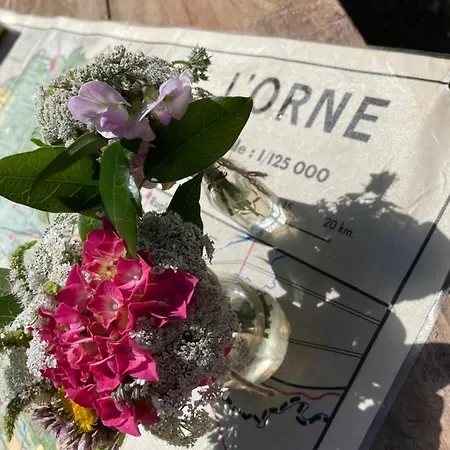 Domaine De La Vove Corbon (Orne)