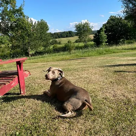 Domaine De La Vove Homestay