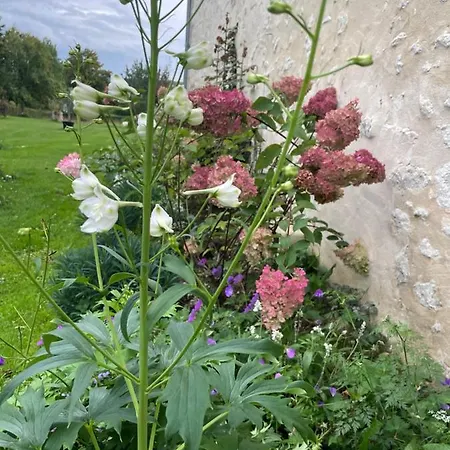 Domaine De La Vove Homestay Corbon (Orne)