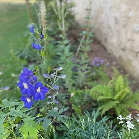 Privatunterkunft Domaine De La Vove *