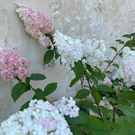 Domaine De La Vove 民宿 Corbon (Orne)