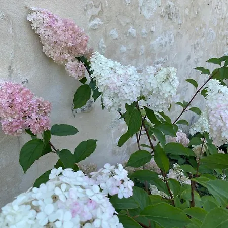 Domaine De La Vove Homestay Corbon (Orne)