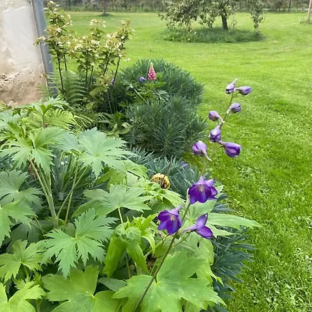 Homestay Domaine De La Vove Corbon (Orne)