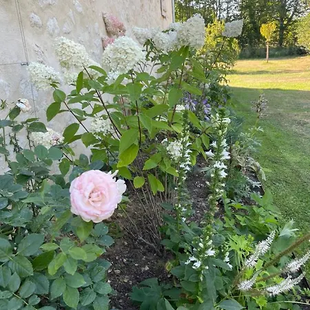 Domaine De La Vove Privatunterkunft Corbon (Orne)