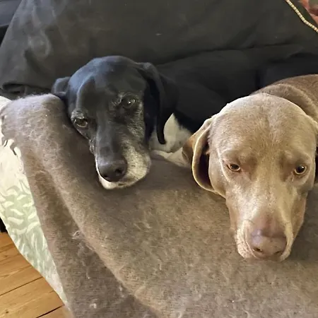 Domaine De La Vove *