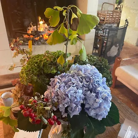 Domaine De La Vove Privatunterkunft Corbon (Orne)