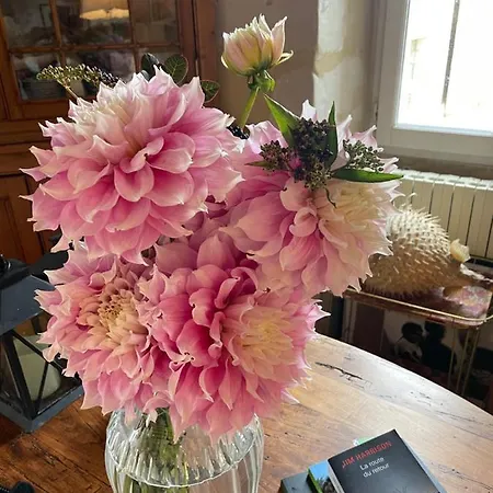 Domaine De La Vove Privatunterkunft *