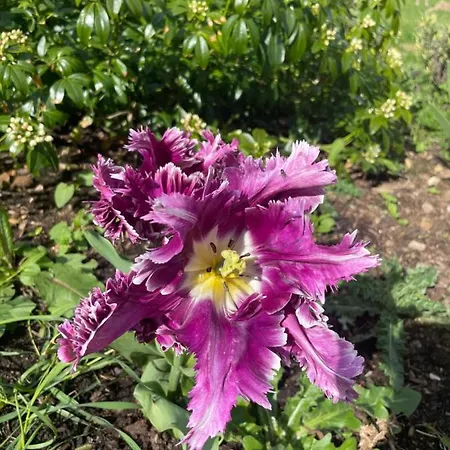 Privatunterkunft Domaine De La Vove *