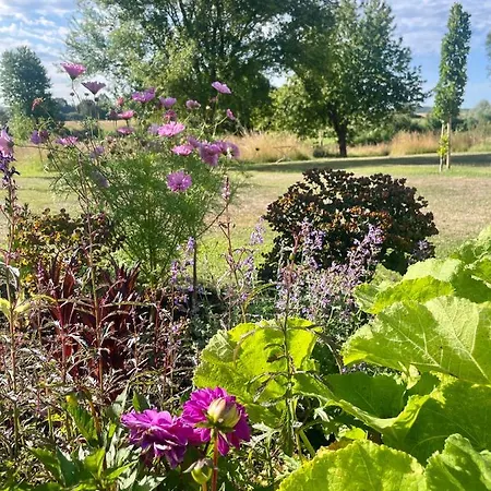 Privatunterkunft Domaine De La Vove Corbon (Orne)