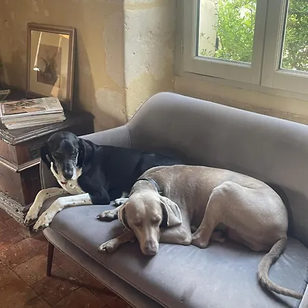 Homestay Domaine De La Vove