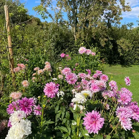 Homestay Domaine De La Vove Corbon (Orne)
