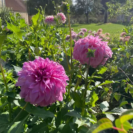 Homestay Domaine De La Vove