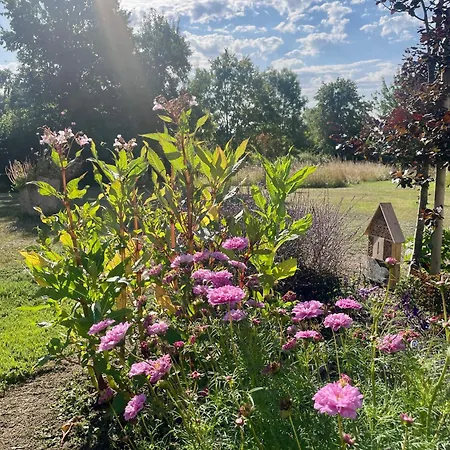 Domaine De La Vove - Classée, Cadre Paisible Et Naturel - Ambiance Insolite Jardin Paysager Doté D'une Terrasse Spacieuse - Vue Panoramique Exceptionnelle -authenticité Et élégance Corbon (Orne)