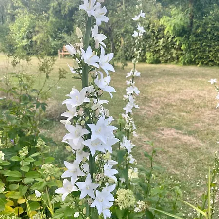 Domaine De La Vove Homestay *