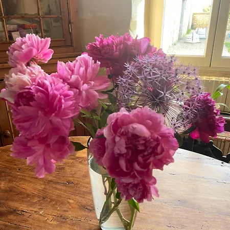 Homestay Domaine De La Vove Corbon (Orne)