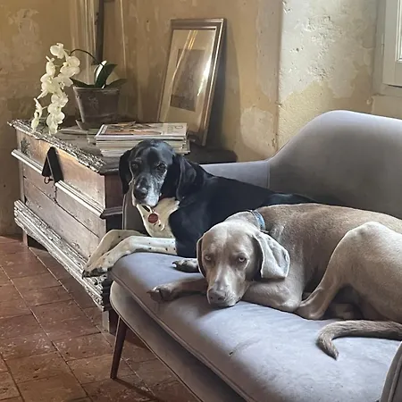 Domaine De La Vove Corbon (Orne)