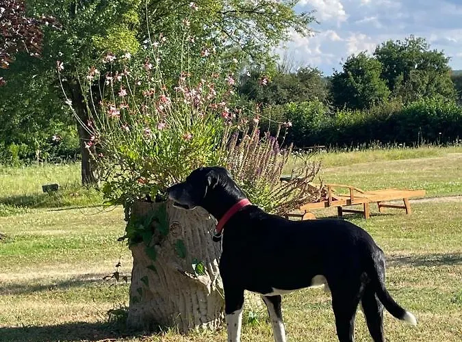 Domaine De La Vove Homestay Corbon (Orne)