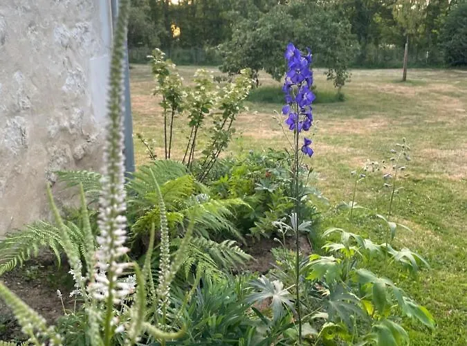 Homestay Domaine De La Vove *