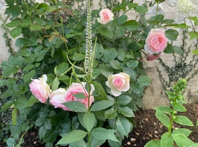 Domaine De La Vove Séjour chez l'habitant Corbon (Orne)