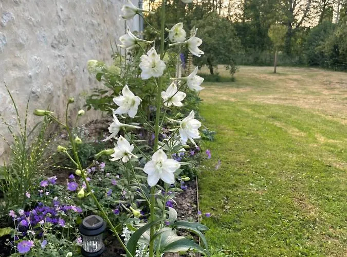Séjour chez l'habitant Domaine De La Vove Corbon (Orne)