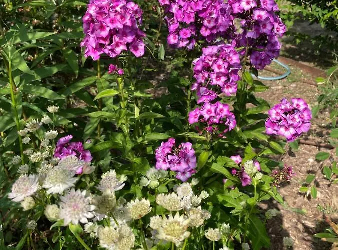 Homestay Domaine De La Vove *