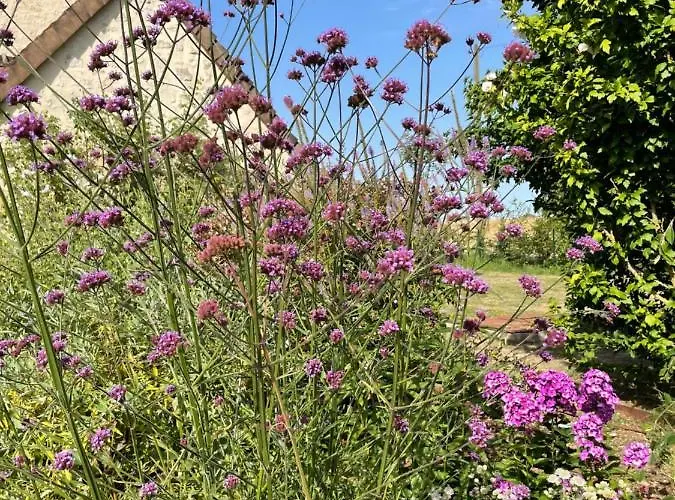 Homestay Domaine De La Vove