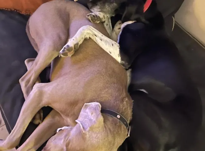 Homestay Domaine De La Vove