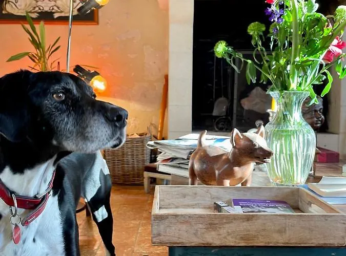 Homestay Domaine De La Vove *