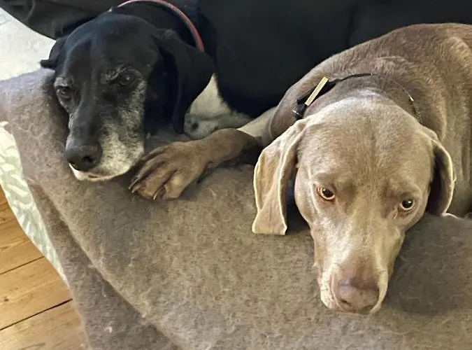 Domaine De La Vove *