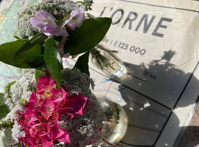 Domaine De La Vove Corbon (Orne)