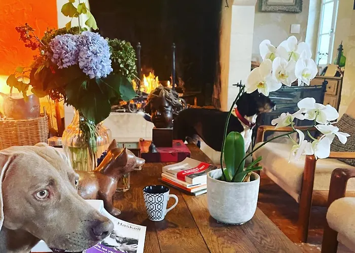 Domaine De La Vove Privatunterkunft *