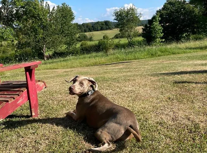 Domaine De La Vove Séjour chez l'habitant