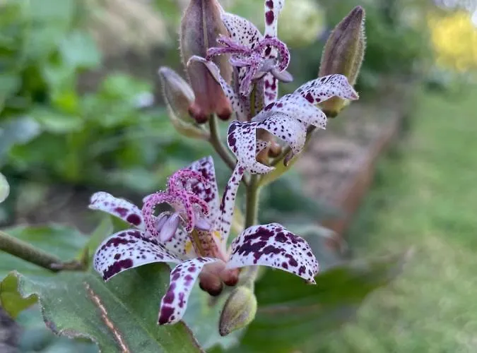 Domaine De La Vove Séjour chez l'habitant