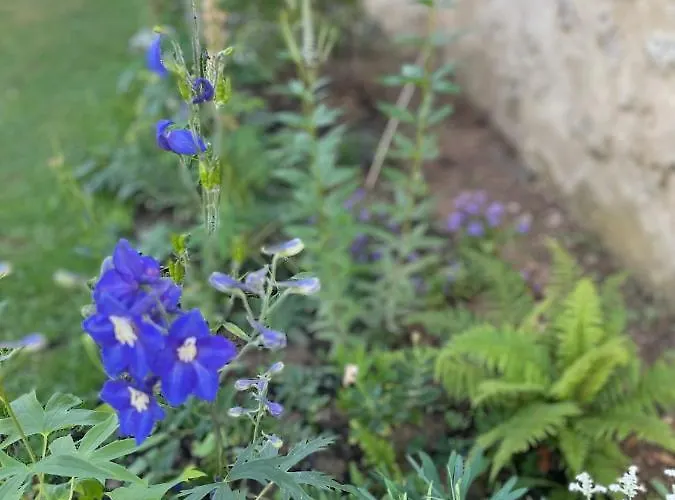 Séjour chez l'habitant Domaine De La Vove *