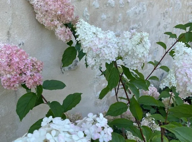 Domaine De La Vove Homestay Corbon (Orne)