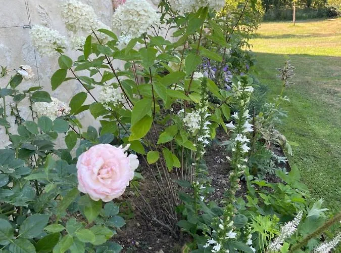 Domaine De La Vove Privatunterkunft Corbon (Orne)