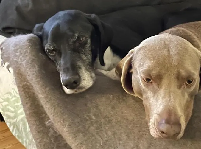 Domaine De La Vove *