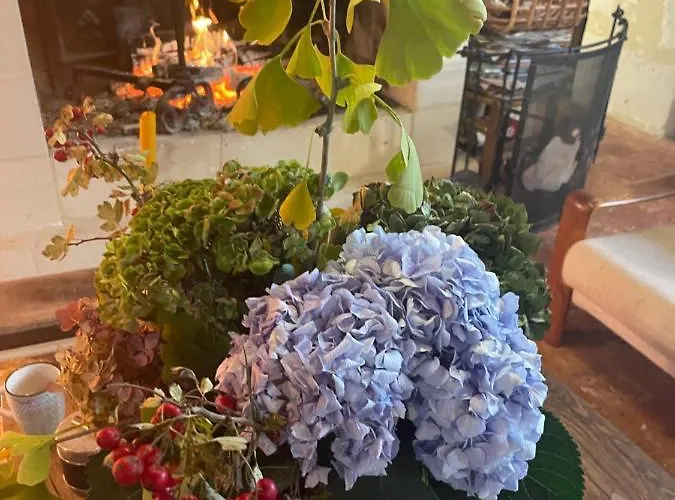 Domaine De La Vove Séjour chez l'habitant Corbon (Orne)