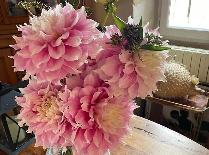 Domaine De La Vove Privatunterkunft *