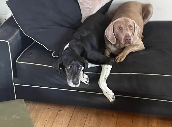 Domaine De La Vove Corbon (Orne)