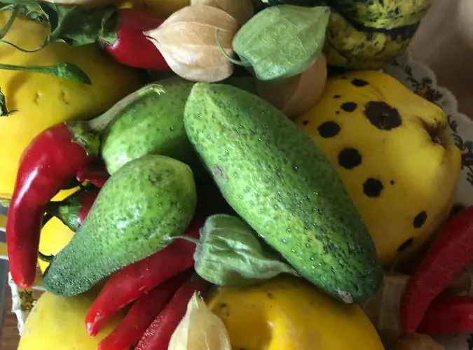 Domaine De La Vove Corbon (Orne)